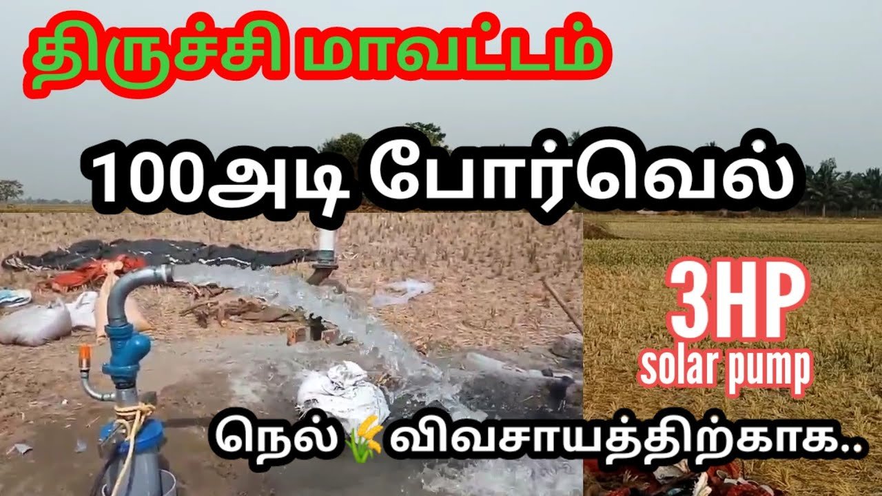 Solar Water Pump Installation in Trichy for Paddy Cultivation from Kay Tech Solar